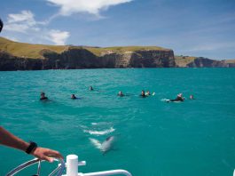 new zealand