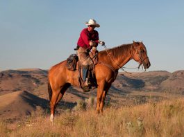 American rodeo
