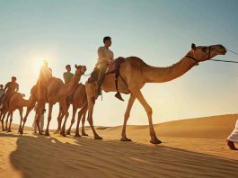 Abu Dhabi for Shopping