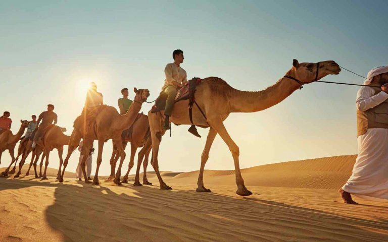 Abu Dhabi for Shopping