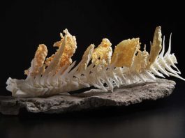 food of Faroe Islands