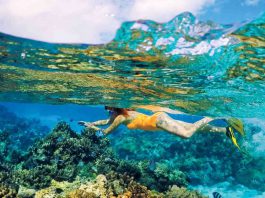 south pacific