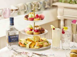 gin revolution