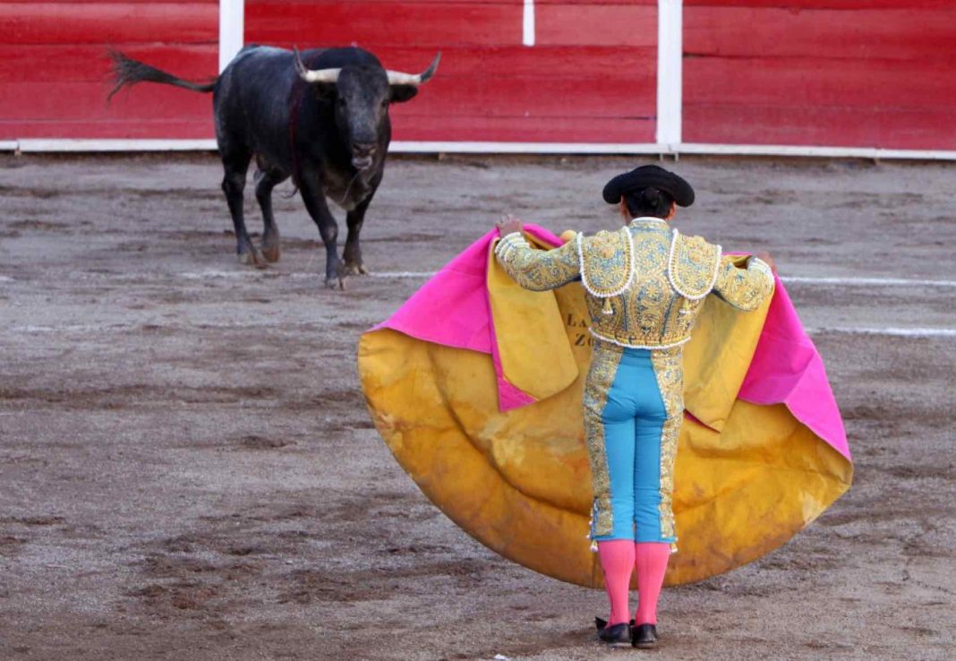 Fun in the City 12 things to do in Malaga