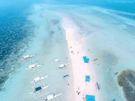 A beach in Bohol