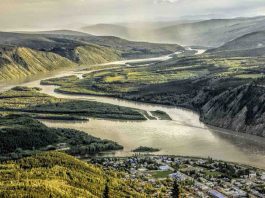 Dawson City serves a Canadian cocktail to remember