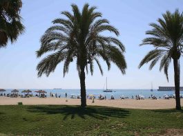 Playa de La Malagueta